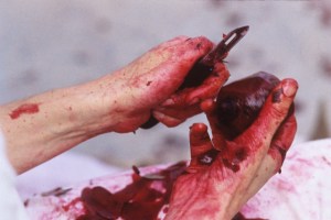 De vora Neumark, s(us)taining, 1996 Crédit photo: Mario Belisle