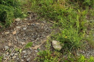 Figure 10, Douglas Scholes et Nicole Fournier Médiation #1 Révéler le changement, 2012.