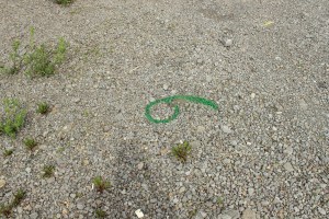 Figure 13, Douglas Scholes et Nicole Fournier, De fond en comble, site principal, 2012.