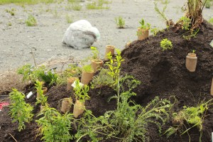 Figure 2, Douglas Scholes et Nicole Fournier, De fond en comble, site principal, 2012.