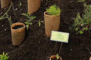 Figure 3, Douglas Scholes et Nicole Fournier, De fond en comble, site principal, 2012.