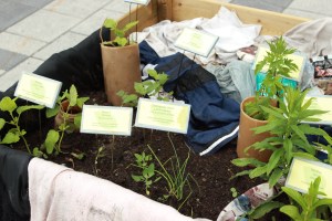 Figure 7, Douglas Scholes et Nicole Fournier, De fond en comble, Place Claude Léveillée, 2012.