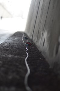 Atelier Habiter le contemporain_Not Built For That, Not Built For Public, 14 avril 2014.