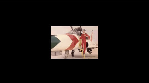 the world as will and representation